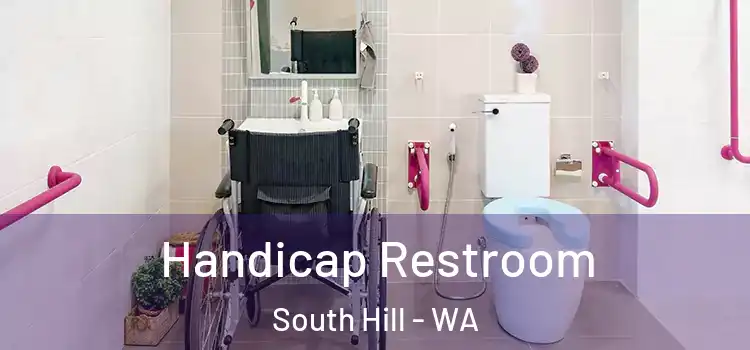  Handicap Restroom South Hill - WA